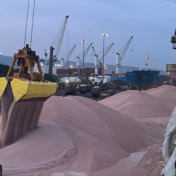 WhatsApp Image 2026-01-29 at 17.07.33